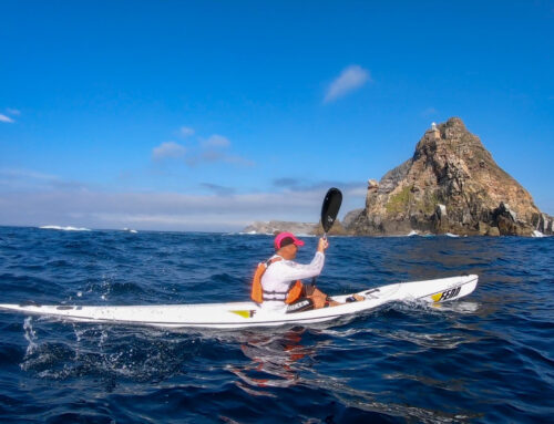Riding the Waves of Business